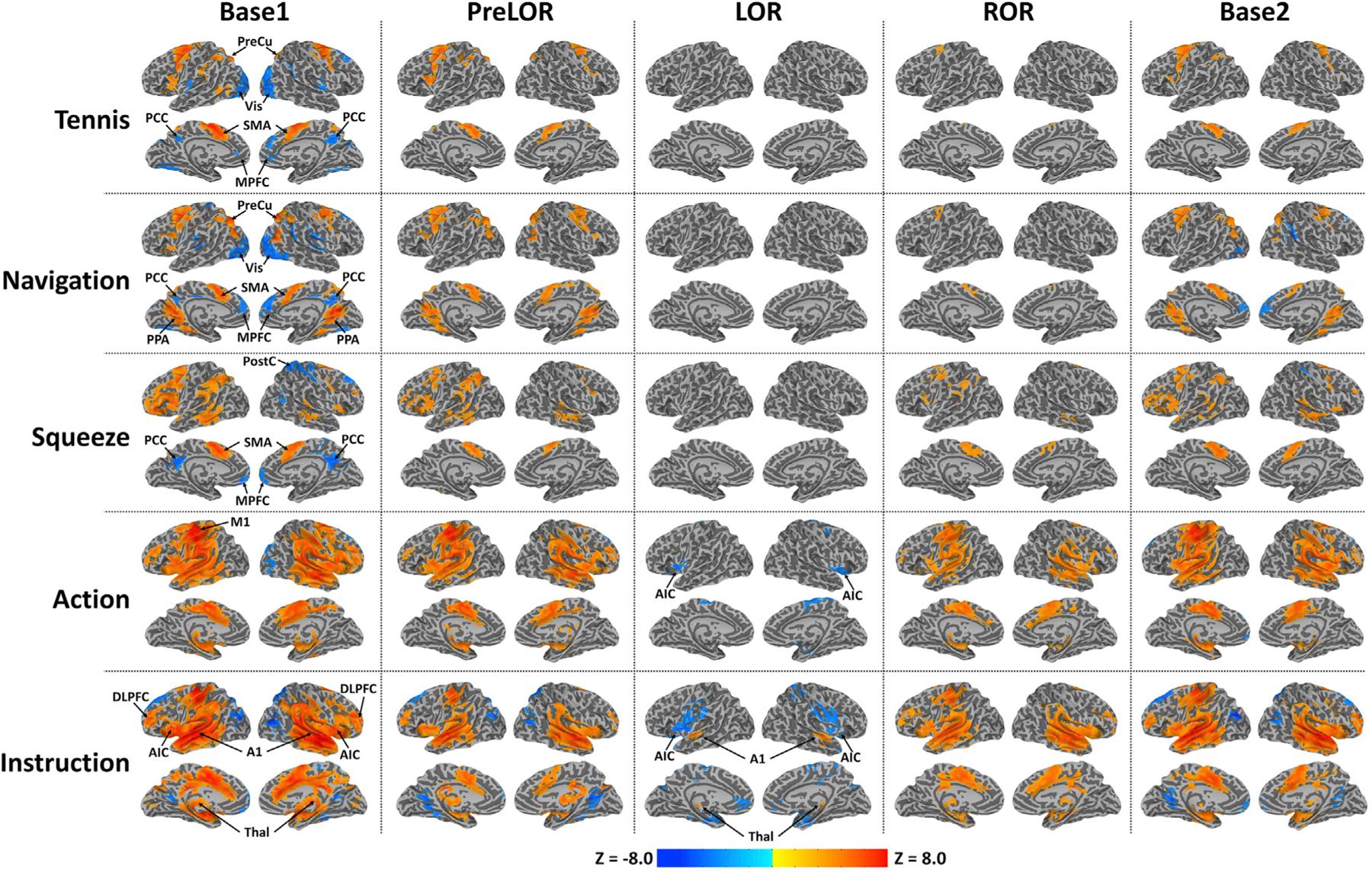 https://cdn.ncbi.nlm.nih.gov/pmc/blobs/11a7/8157795/c3e410cdbdc8/nihms-1700576-f0003.jpg