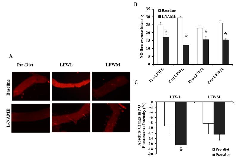 https://cdn.ncbi.nlm.nih.gov/pmc/blobs/11a8/6627594/0d6abe31626b/nutrients-11-01339-g007.jpg