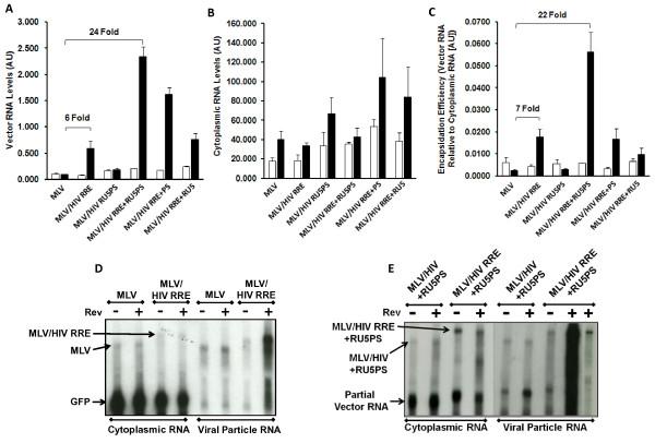 https://cdn.ncbi.nlm.nih.gov/pmc/blobs/11ac/3131246/073570e12619/1742-4690-8-51-3.jpg
