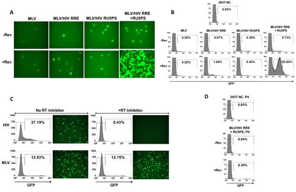 https://cdn.ncbi.nlm.nih.gov/pmc/blobs/11ac/3131246/6c58d6d88cf2/1742-4690-8-51-2.jpg