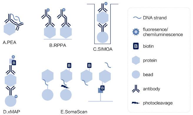 https://cdn.ncbi.nlm.nih.gov/pmc/blobs/11ad/11165715/721335c52fc3/PPL-31-192_F1.jpg