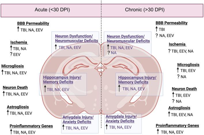 https://cdn.ncbi.nlm.nih.gov/pmc/blobs/11af/11671522/263d766c76b5/fnins-18-1514940-g0003.jpg