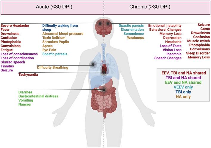 https://cdn.ncbi.nlm.nih.gov/pmc/blobs/11af/11671522/9655b76442e0/fnins-18-1514940-g0001.jpg