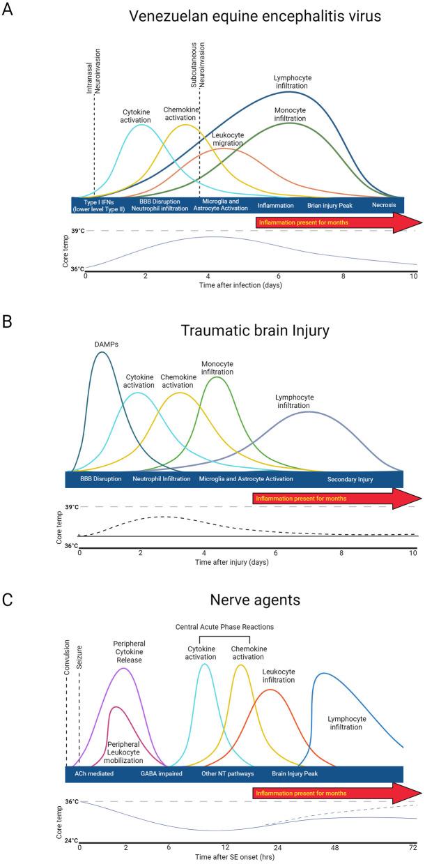 https://cdn.ncbi.nlm.nih.gov/pmc/blobs/11af/11671522/aa53c4bff306/fnins-18-1514940-g0002.jpg