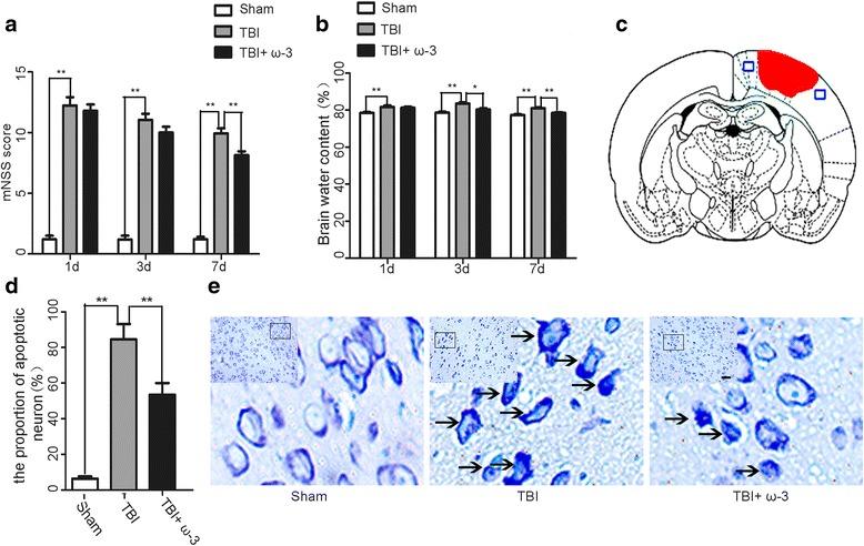 https://cdn.ncbi.nlm.nih.gov/pmc/blobs/11b0/5525354/57f8af947068/12974_2017_917_Fig1_HTML.jpg