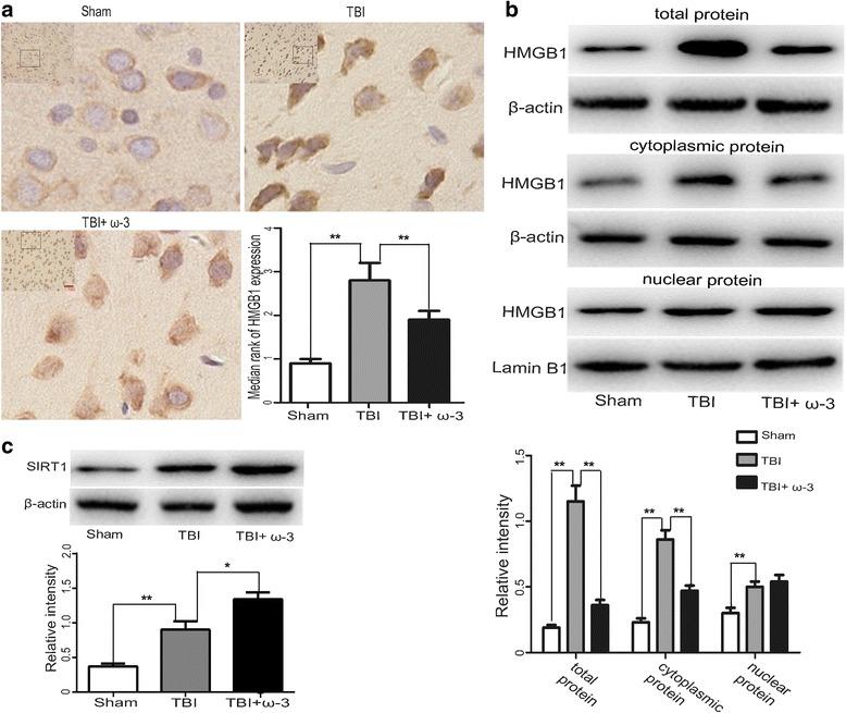 https://cdn.ncbi.nlm.nih.gov/pmc/blobs/11b0/5525354/64c5c178f05e/12974_2017_917_Fig3_HTML.jpg