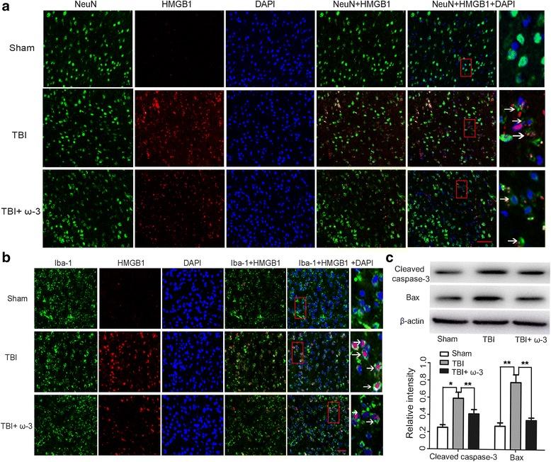 https://cdn.ncbi.nlm.nih.gov/pmc/blobs/11b0/5525354/6d74843a095b/12974_2017_917_Fig4_HTML.jpg