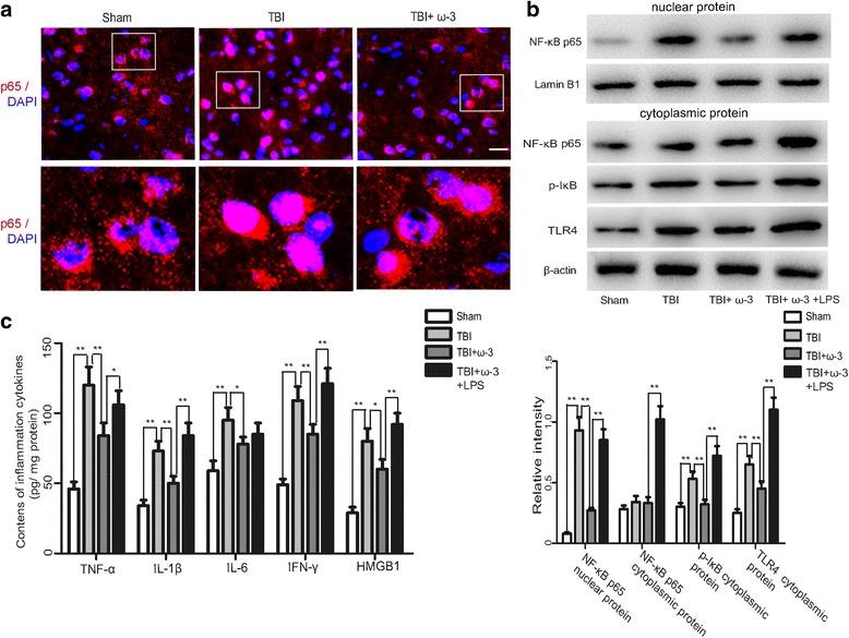 https://cdn.ncbi.nlm.nih.gov/pmc/blobs/11b0/5525354/b65cadccdd14/12974_2017_917_Fig6_HTML.jpg