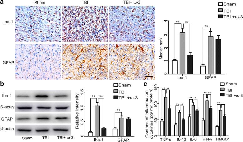 https://cdn.ncbi.nlm.nih.gov/pmc/blobs/11b0/5525354/f0299393d6f1/12974_2017_917_Fig2_HTML.jpg