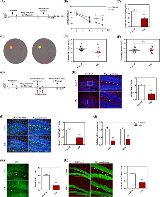 https://cdn.ncbi.nlm.nih.gov/pmc/blobs/11b0/7752162/ce736ac3c544/CTM2-10-e243-g001.jpg