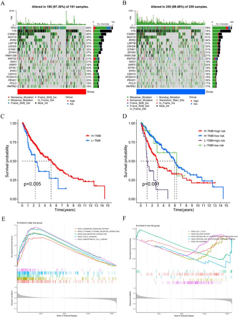 https://cdn.ncbi.nlm.nih.gov/pmc/blobs/11b2/10873263/36fa65e1d589/12672_2024_887_Fig5_HTML.jpg