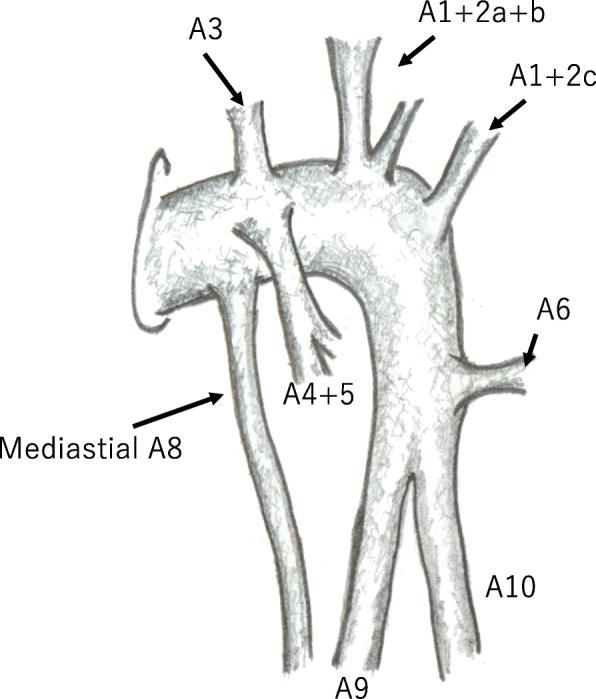 https://cdn.ncbi.nlm.nih.gov/pmc/blobs/11b3/6029987/e7a9c6552568/40792_2018_475_Fig3_HTML.jpg