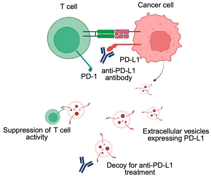 https://cdn.ncbi.nlm.nih.gov/pmc/blobs/11b4/12190271/62bb11df26e6/biomedicines-13-01356-g002.jpg
