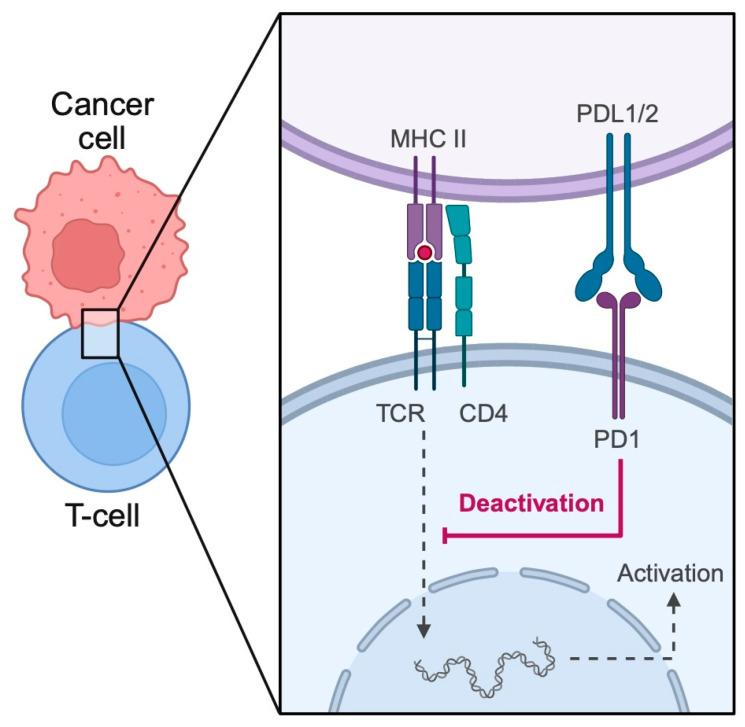 https://cdn.ncbi.nlm.nih.gov/pmc/blobs/11b4/12190271/fca412f1ce79/biomedicines-13-01356-g001.jpg