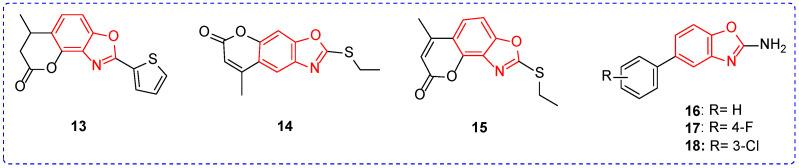 https://cdn.ncbi.nlm.nih.gov/pmc/blobs/11b6/10341659/a2904ec5b3bc/ijms-24-10807-g003.jpg