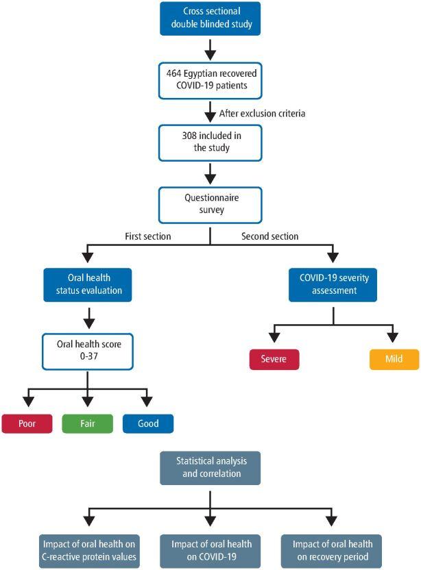https://cdn.ncbi.nlm.nih.gov/pmc/blobs/11b6/7904030/4a5265fb1db3/41415_2021_2656_Fig1_HTML.jpg