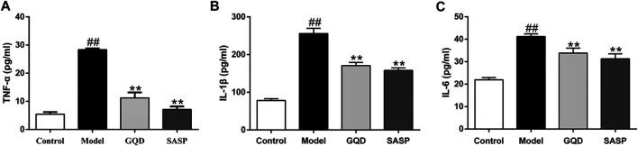 https://cdn.ncbi.nlm.nih.gov/pmc/blobs/11b6/8232523/5b2c83d61184/fphar-12-665102-g010.jpg