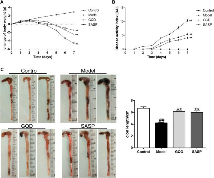 https://cdn.ncbi.nlm.nih.gov/pmc/blobs/11b6/8232523/927682a4f7db/fphar-12-665102-g008.jpg