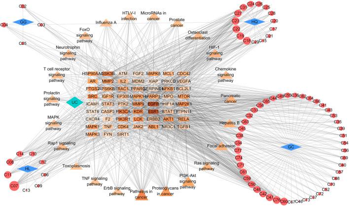https://cdn.ncbi.nlm.nih.gov/pmc/blobs/11b6/8232523/9e263f439f37/fphar-12-665102-g005.jpg