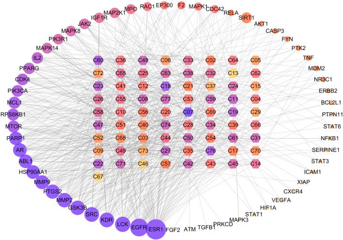 https://cdn.ncbi.nlm.nih.gov/pmc/blobs/11b6/8232523/b991c4ff0700/fphar-12-665102-g004.jpg