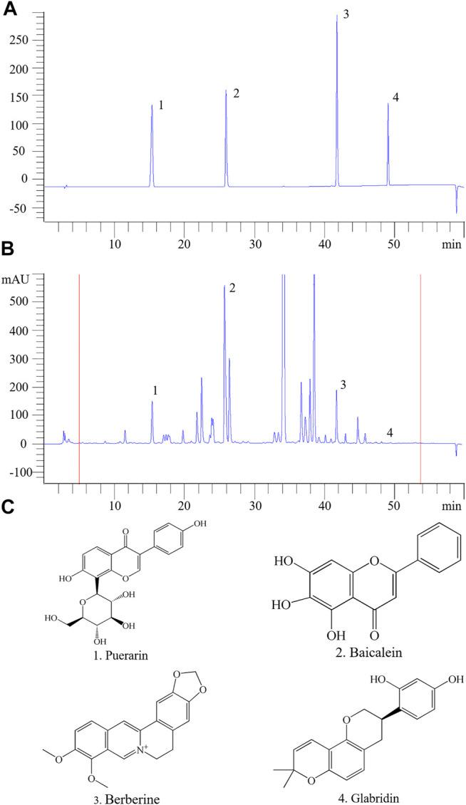 https://cdn.ncbi.nlm.nih.gov/pmc/blobs/11b6/8232523/e91337325ba7/fphar-12-665102-g007.jpg