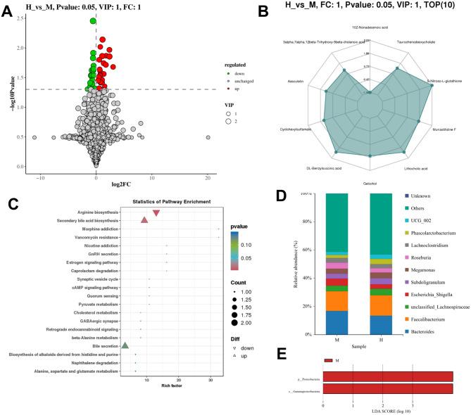 https://cdn.ncbi.nlm.nih.gov/pmc/blobs/11b7/12125819/57d078e7a5d2/12866_2025_3877_Fig8_HTML.jpg