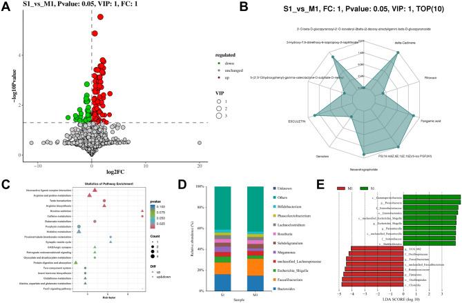 https://cdn.ncbi.nlm.nih.gov/pmc/blobs/11b7/12125819/5f6663505ba3/12866_2025_3877_Fig9_HTML.jpg