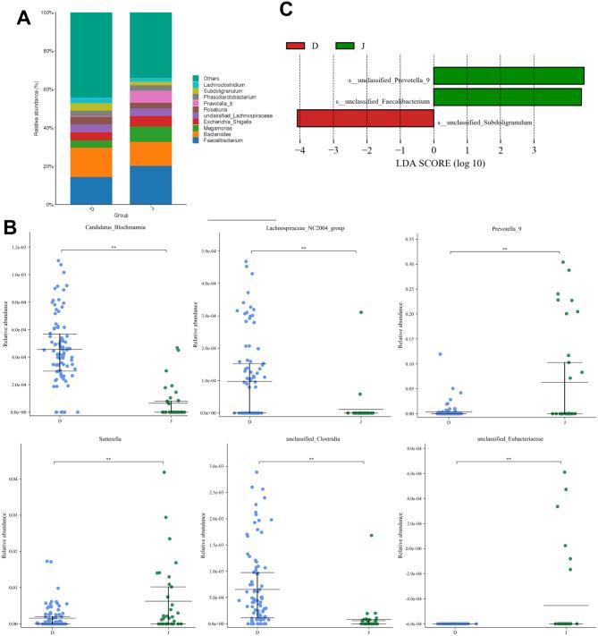 https://cdn.ncbi.nlm.nih.gov/pmc/blobs/11b7/12125819/6e6936e297a8/12866_2025_3877_Fig3_HTML.jpg