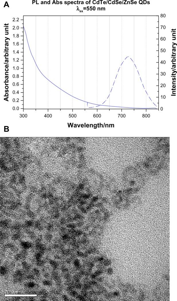 https://cdn.ncbi.nlm.nih.gov/pmc/blobs/11b7/3956736/50a608722be1/ijn-9-1323Fig2.jpg