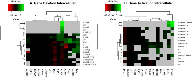 https://cdn.ncbi.nlm.nih.gov/pmc/blobs/11b7/8222808/12c579794e83/fimmu-12-642842-g003.jpg