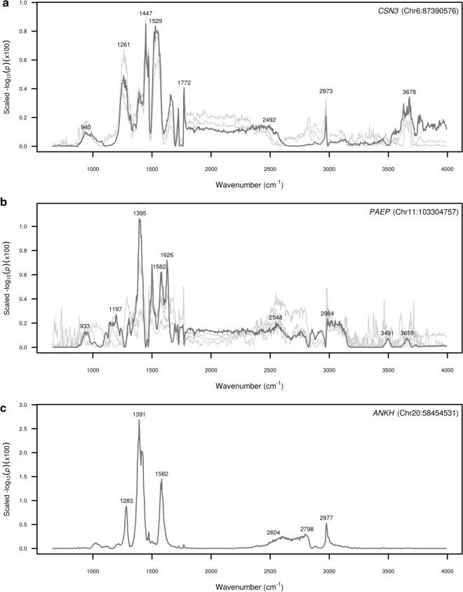 https://cdn.ncbi.nlm.nih.gov/pmc/blobs/11b8/8290608/9fa8871a8cf9/12711_2021_648_Fig7_HTML.jpg