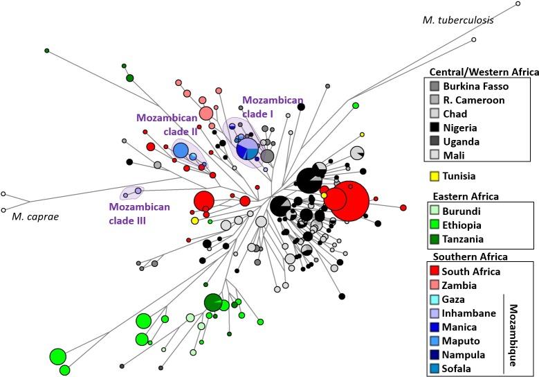 https://cdn.ncbi.nlm.nih.gov/pmc/blobs/11ba/5772998/668579a85eef/pntd.0006147.g003.jpg