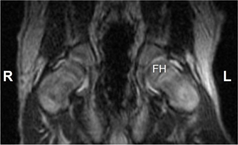 https://cdn.ncbi.nlm.nih.gov/pmc/blobs/11bb/10599070/089ecd44e163/12917_2023_3777_Fig4_HTML.jpg