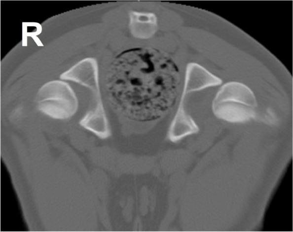 https://cdn.ncbi.nlm.nih.gov/pmc/blobs/11bb/10599070/e1c18f4f15c1/12917_2023_3777_Fig2_HTML.jpg