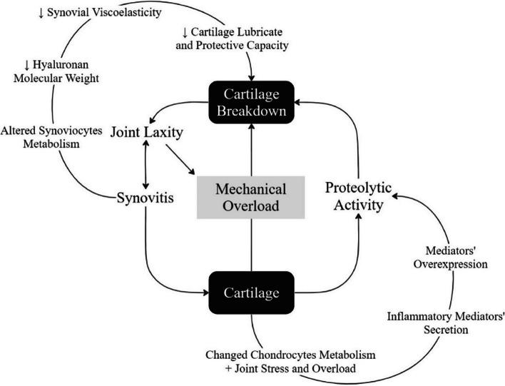 https://cdn.ncbi.nlm.nih.gov/pmc/blobs/11bb/10599070/fb8a330978ad/12917_2023_3777_Fig1_HTML.jpg