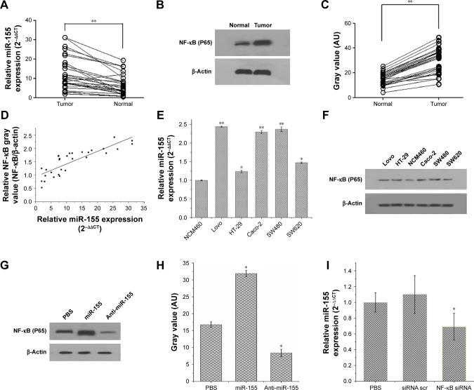 https://cdn.ncbi.nlm.nih.gov/pmc/blobs/11bb/5841950/22859c0fee4e/ijn-13-1241Fig1.jpg