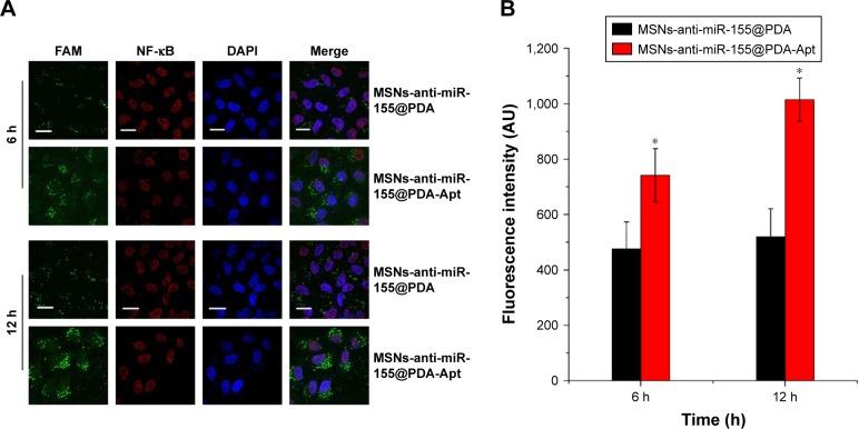 https://cdn.ncbi.nlm.nih.gov/pmc/blobs/11bb/5841950/5b10f03c1901/ijn-13-1241Fig3.jpg