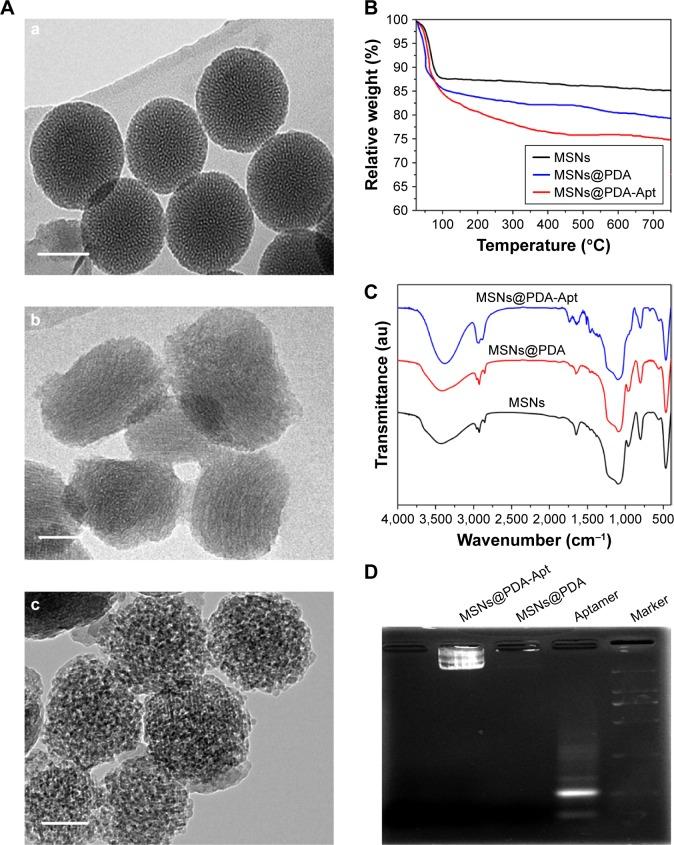 https://cdn.ncbi.nlm.nih.gov/pmc/blobs/11bb/5841950/e4f4a751bd24/ijn-13-1241Fig2.jpg