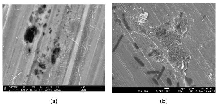 https://cdn.ncbi.nlm.nih.gov/pmc/blobs/11bd/6567303/d8d5dfce592a/materials-12-01634-g008a.jpg