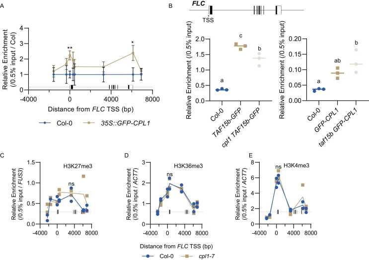 https://cdn.ncbi.nlm.nih.gov/pmc/blobs/11c0/11822305/4eb0a1f24eba/gr4.jpg