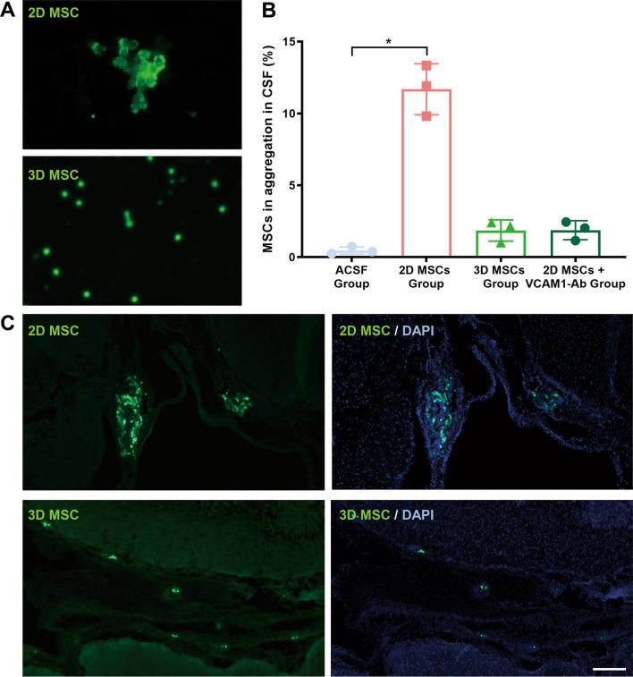 https://cdn.ncbi.nlm.nih.gov/pmc/blobs/11c0/9587602/ce983b218be9/13287_2022_3189_Fig4_HTML.jpg