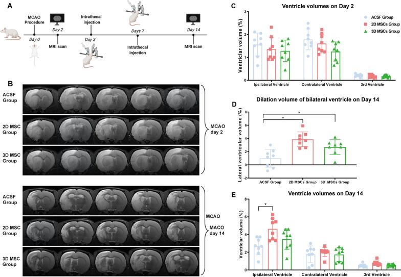 https://cdn.ncbi.nlm.nih.gov/pmc/blobs/11c0/9587602/f2709dab713c/13287_2022_3189_Fig2_HTML.jpg