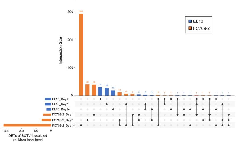 https://cdn.ncbi.nlm.nih.gov/pmc/blobs/11c2/11668037/74a079317dfd/12864_2024_11143_Fig4_HTML.jpg