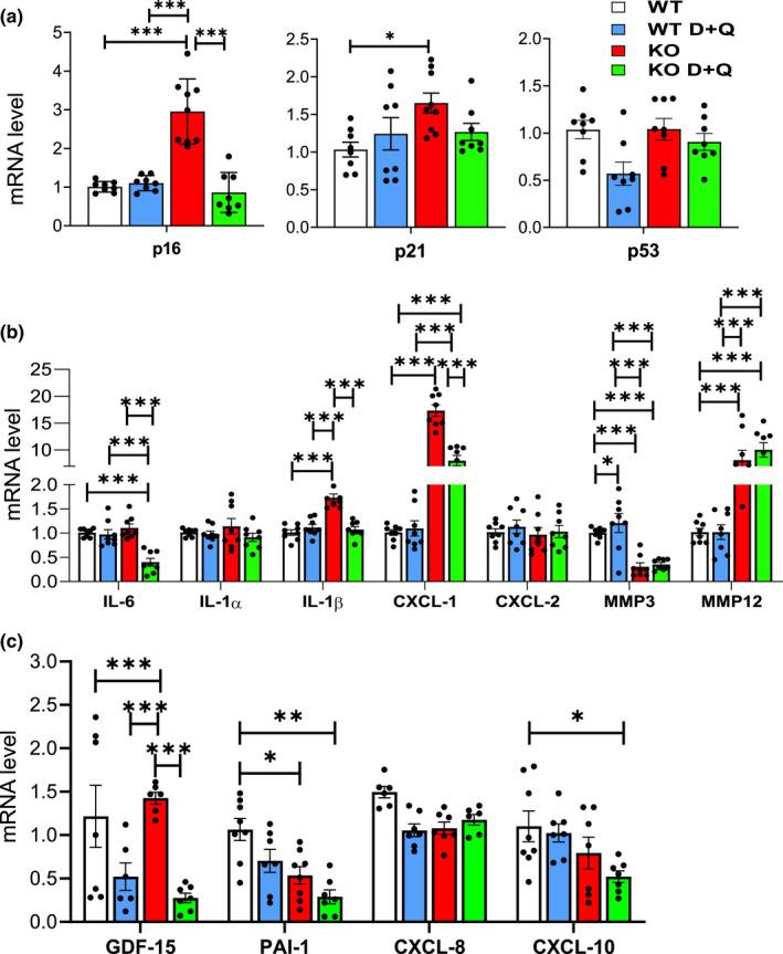 https://cdn.ncbi.nlm.nih.gov/pmc/blobs/11c2/9381894/0e11545702cc/ACEL-21-e13676-g005.jpg