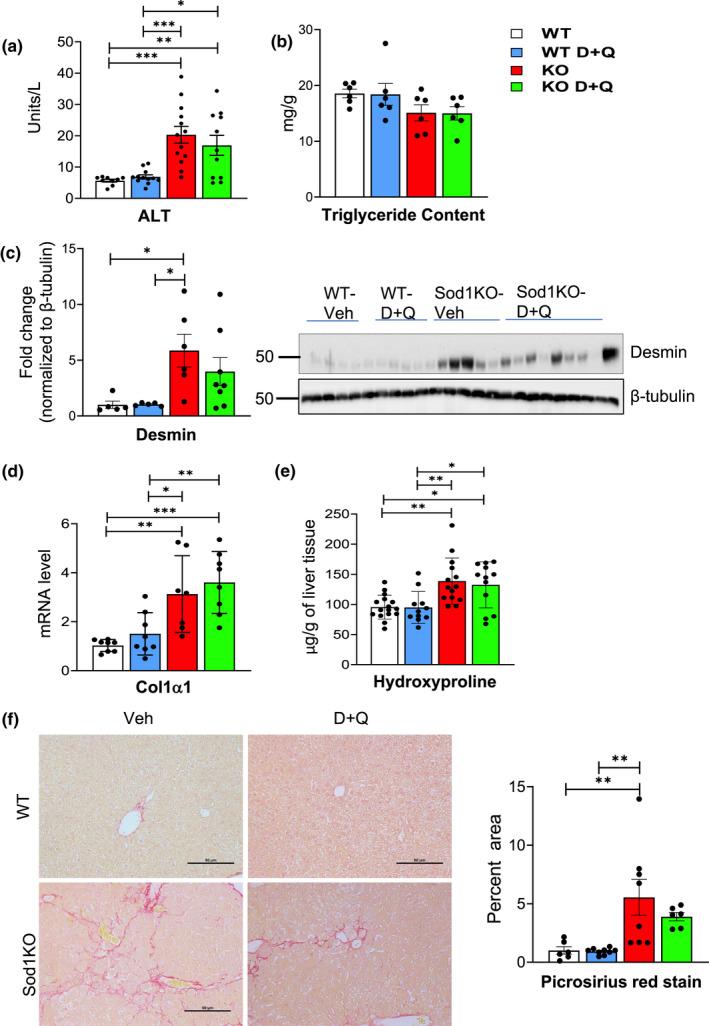 https://cdn.ncbi.nlm.nih.gov/pmc/blobs/11c2/9381894/3c052fbdcff2/ACEL-21-e13676-g001.jpg
