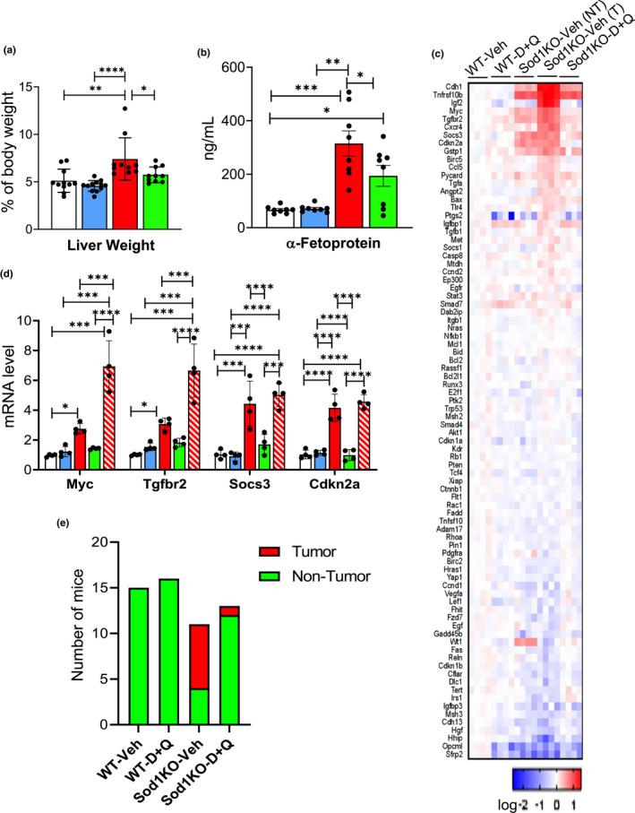 https://cdn.ncbi.nlm.nih.gov/pmc/blobs/11c2/9381894/7dc97df3dd32/ACEL-21-e13676-g002.jpg