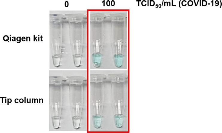 https://cdn.ncbi.nlm.nih.gov/pmc/blobs/11c4/12120609/5139d3b05927/ao5c00573_0005.jpg