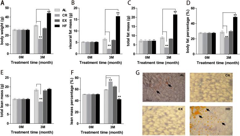 https://cdn.ncbi.nlm.nih.gov/pmc/blobs/11c4/7977600/e5840144b5f2/12864_2021_7507_Fig1_HTML.jpg