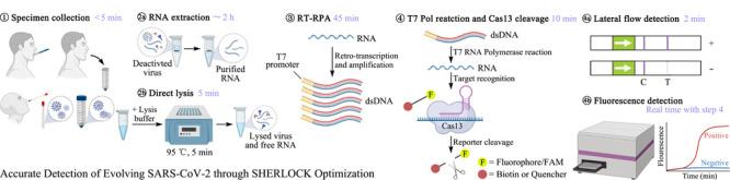https://cdn.ncbi.nlm.nih.gov/pmc/blobs/11c5/9520371/e5f22c26b13f/cjc-40-09-773-img_6.jpg