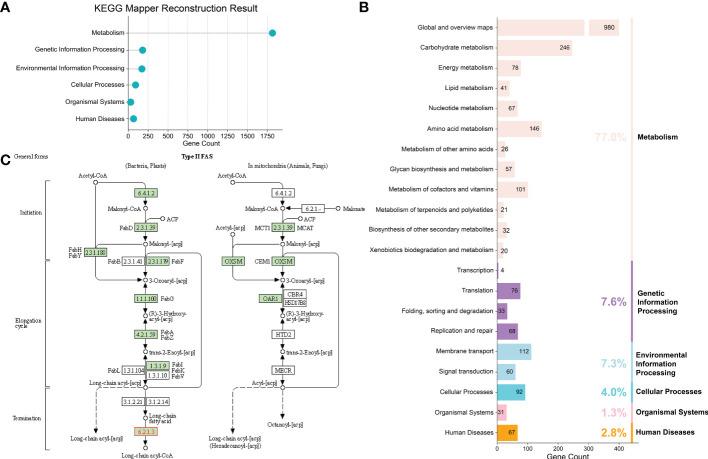 https://cdn.ncbi.nlm.nih.gov/pmc/blobs/11c6/9846645/14de3bd07a74/fcimb-12-919701-g003.jpg